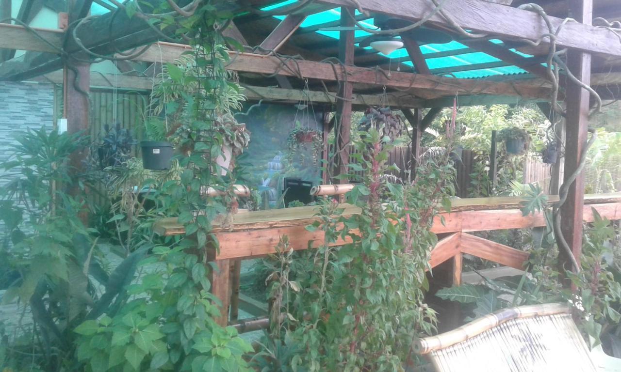 Jungle Of Peace Resort Сикихор Экстерьер фото
