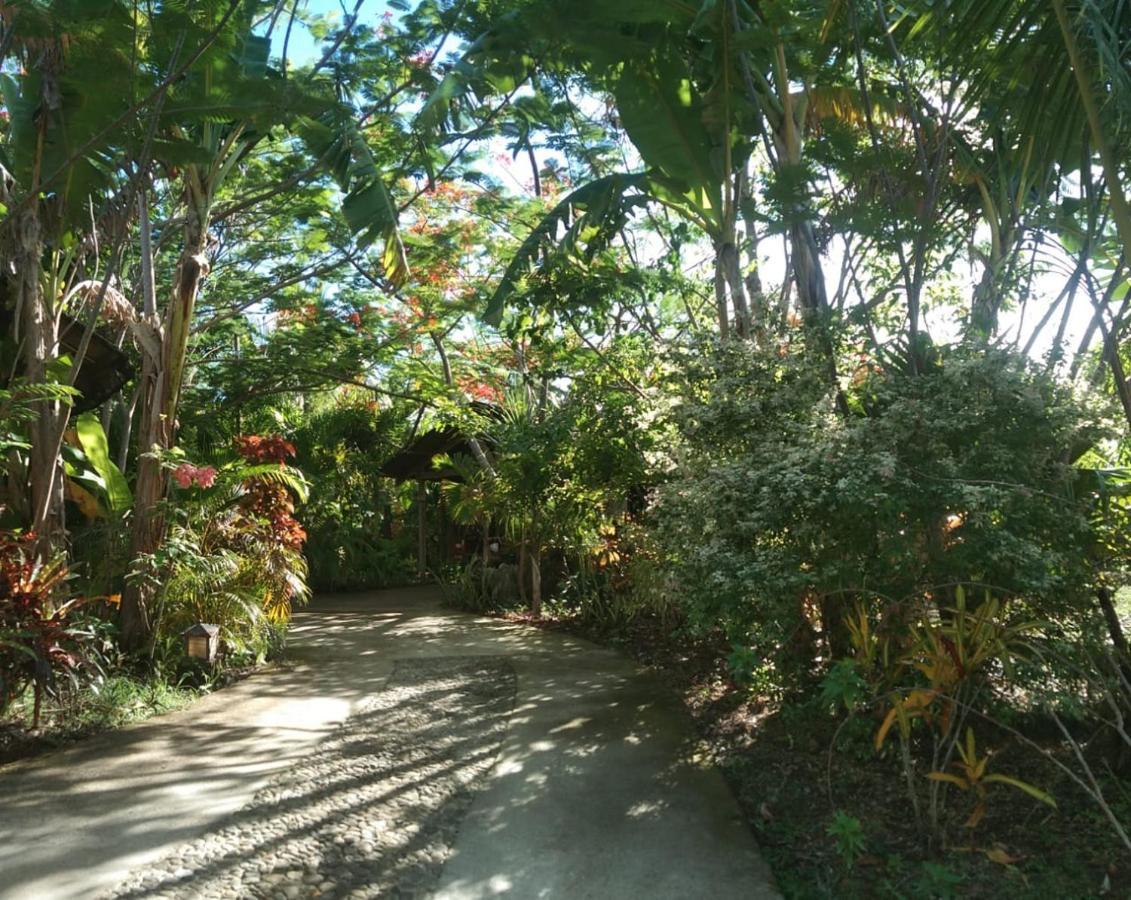 Jungle Of Peace Resort Сикихор Экстерьер фото