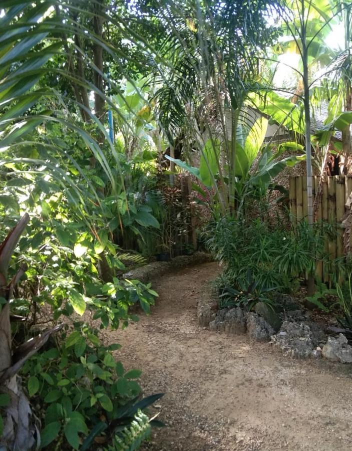 Jungle Of Peace Resort Сикихор Экстерьер фото