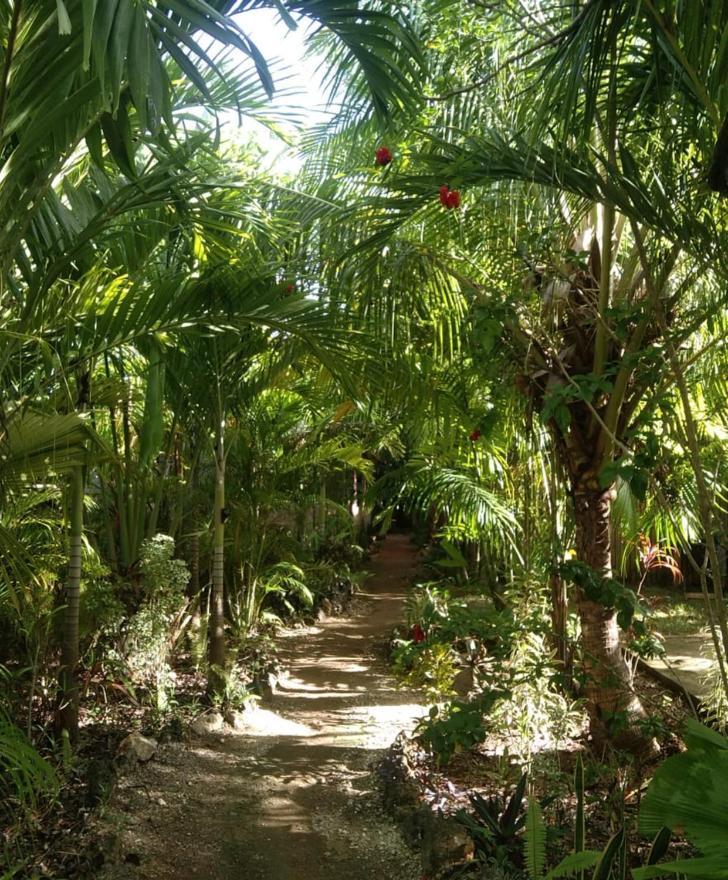 Jungle Of Peace Resort Сикихор Экстерьер фото